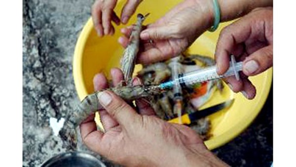 7 thực phẩm gây ung thư cực phổ biến trong các gia đình Việt nếu ăn nhiều, tiết lộ 7 thói quen ăn uống cần thay đổi để sống khỏe-5