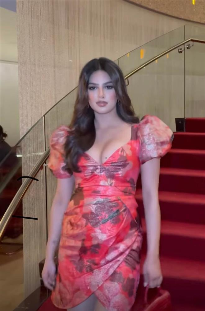 Miss Universe 2022 cứ mải miết diện những kiểu váy áo dìm dáng và lòi hết mỡ thừa-4