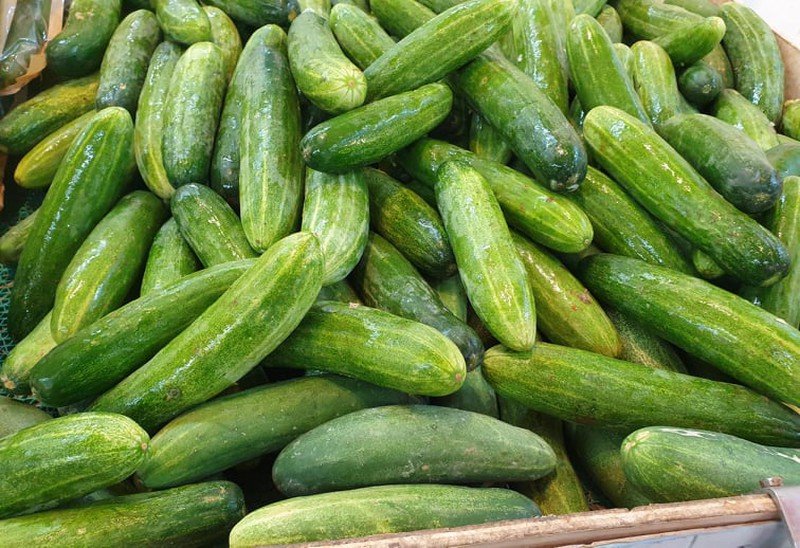 Mua dưa chuột muốn chọn quả ngon sạch, đặc ruột, không bị đắng: Cứ nhìn 4 điểm này là biết-1