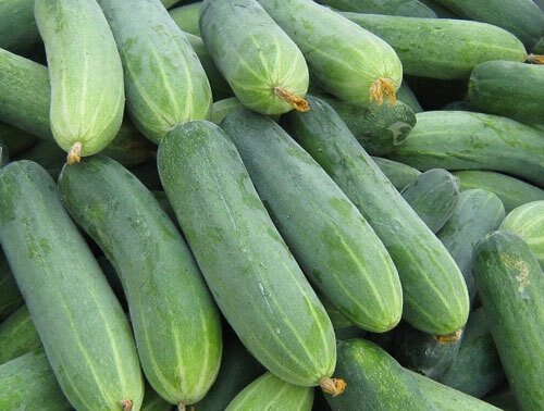 Mua dưa chuột muốn chọn quả ngon sạch, đặc ruột, không bị đắng: Cứ nhìn 4 điểm này là biết-2