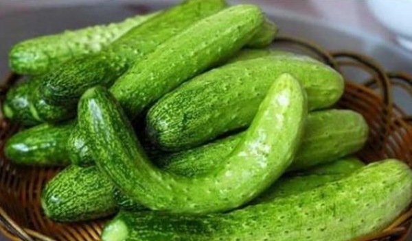 Mua dưa chuột muốn chọn quả ngon sạch, đặc ruột, không bị đắng: Cứ nhìn 4 điểm này là biết-3