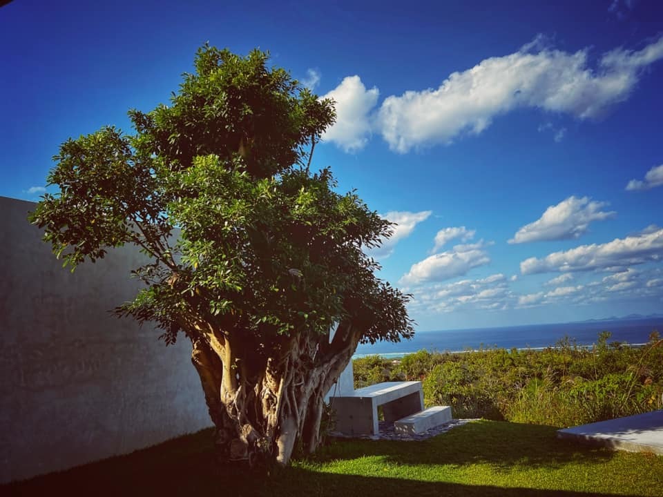 Ngôi nhà lạ lùng bên bờ biển, bốn hướng là cửa, nhìn từ trên như mai rùa-12