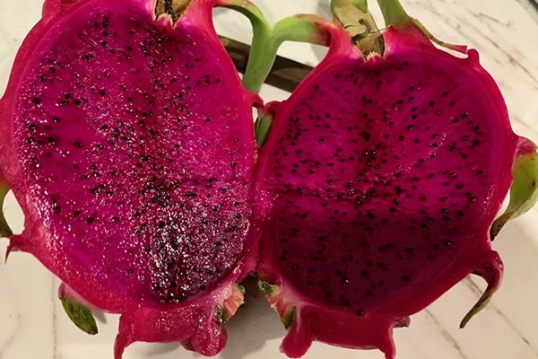 Cành củi khô bung nở hoa trắng muốt khoe sắc, chị em tấp nập đặt mua vì giá rẻ nhưng chiêm nghiệm được nhiều thứ trong cuộc sống-18