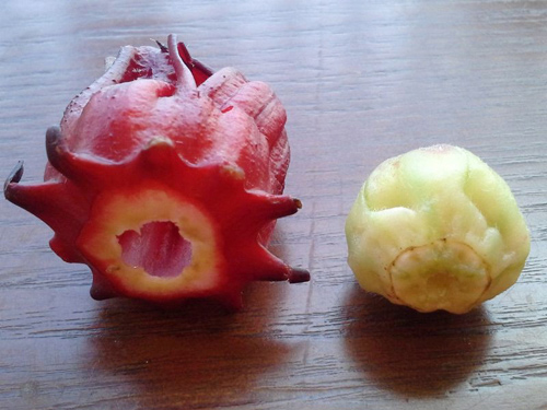 Loại hoa này mà ngâm với đường thì chẳng khác nào thần dược chống lão hóa, hỗ trợ giảm cân-3