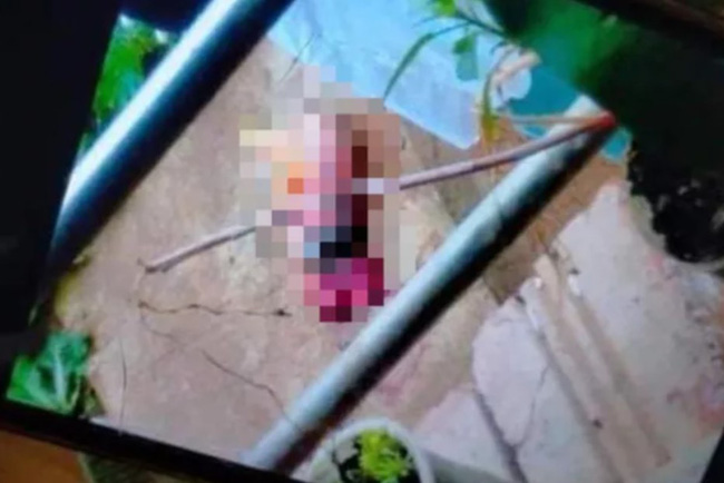 Vụ phát hiện thi thể bé sơ sinh - con của nữ sinh lớp 11 tại trường: Hiệu trưởng rất bất ngờ vì nữ sinh có hạnh kiểm tốt, học lực khá-1