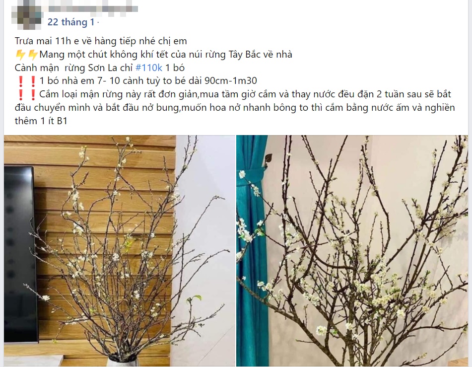 Cành củi khô bung nở hoa trắng muốt khoe sắc, chị em tấp nập đặt mua vì giá rẻ nhưng chiêm nghiệm được nhiều thứ trong cuộc sống-9