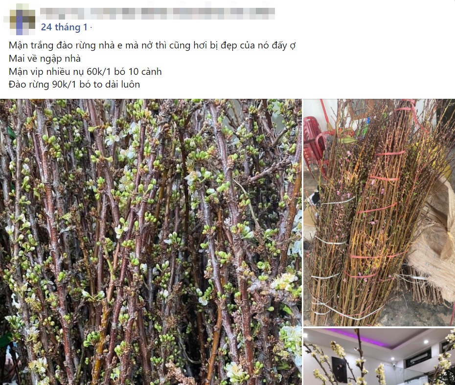 Cành củi khô bung nở hoa trắng muốt khoe sắc, chị em tấp nập đặt mua vì giá rẻ nhưng chiêm nghiệm được nhiều thứ trong cuộc sống-10