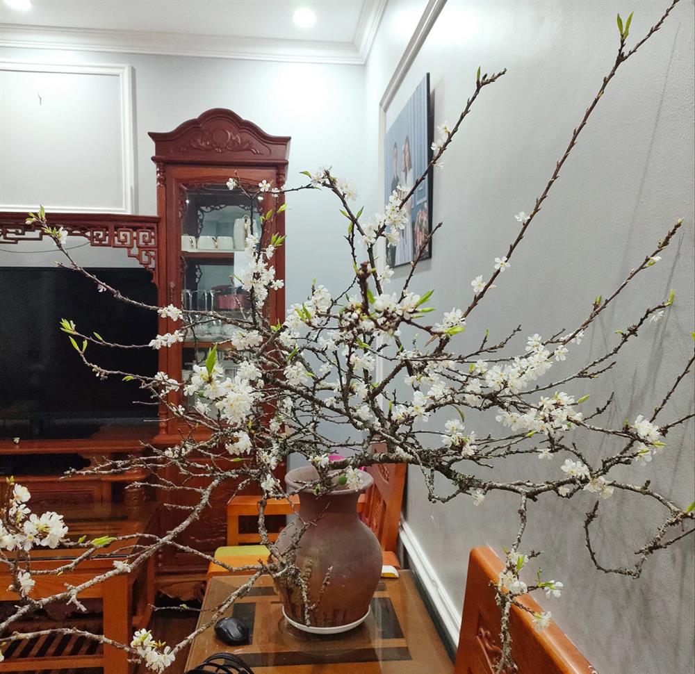 Cành củi khô bung nở hoa trắng muốt khoe sắc, chị em tấp nập đặt mua vì giá rẻ nhưng chiêm nghiệm được nhiều thứ trong cuộc sống-11