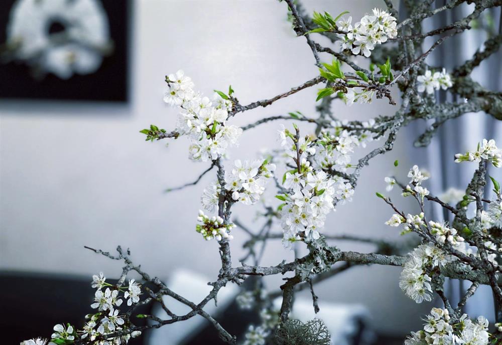 Cành củi khô bung nở hoa trắng muốt khoe sắc, chị em tấp nập đặt mua vì giá rẻ nhưng chiêm nghiệm được nhiều thứ trong cuộc sống-16