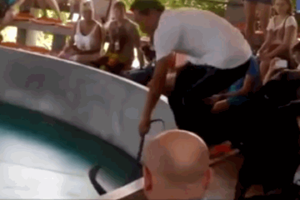 Gái xinh dùng tay không tóm gọn rắn hổ mang khiến nhiều người rùng mình-1