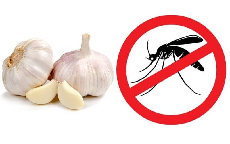 Những mẹo đơn giản và tiết kiệm giúp diệt sạch muỗi trong phòng ngủ: Điện thoại cũng là công cụ rất hữu ích-4