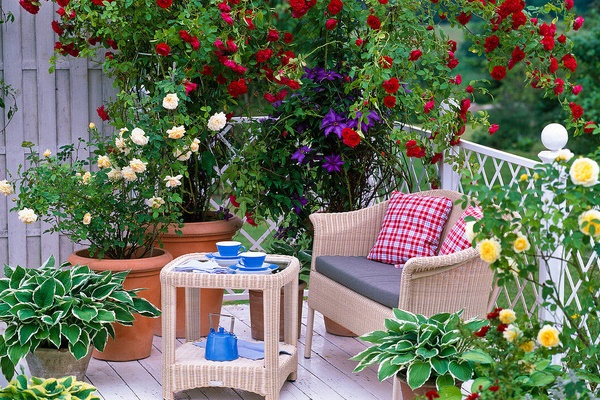 Nhà cũ 3 tầng 35m2 trong hẻm nhỏ Sài Gòn lột xác đầy bất ngờ với giao diện mặt tiền bắt mắt, ai đi ngang cũng phải ngoái nhìn-21