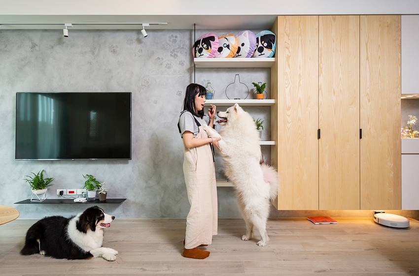 Căn hộ xinh xắn với 4 đứa trẻ lông đáng yêu, cho cặp vợ chồng trẻ những phút giây thư giãn tuyệt vời-3