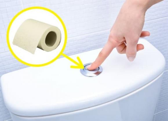 Tại sao bạn nên đặt lõi giấy vệ sinh ở ghế bồn cầu khi sử dụng nhà vệ sinh công cộng?-2