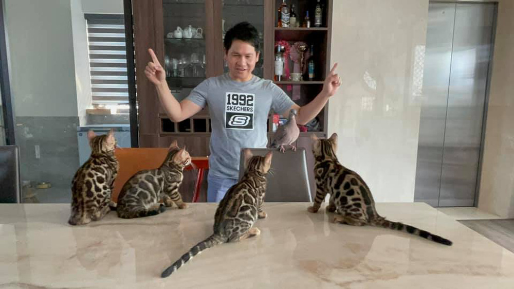 Cơ ngơi bề thế của Trọng Tấn ở Hà Nội: Tích cóp 10 năm mới mua, có thang máy, sân vườn-8