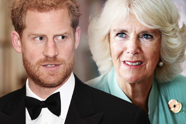 Hoàng tử Harry nhận lời cảnh báo khi muốn thay cố Công nương Diana đáp trả mẹ kế Camilla-1