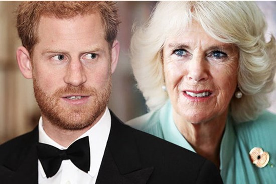 Hoàng tử Harry nhận lời cảnh báo khi muốn thay cố Công nương Diana đáp trả mẹ kế Camilla