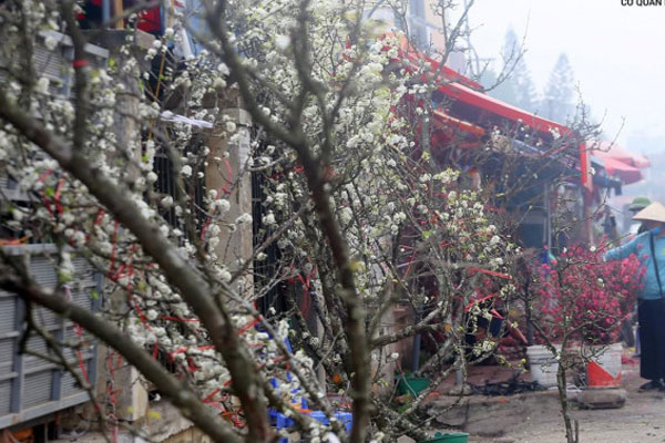 Sống cùng thiên lôi”: Ngôi làng kỳ lạ liên tục bị trời đánh, hứng chịu 10 tiếng sét mỗi ngày, du khách đổ xô tới chiêm ngưỡng-5