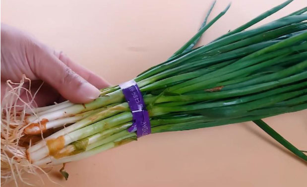 Hành lá treo cửa sổ: Mẹo nhỏ uy lực nhưng nhiều người không biết-1