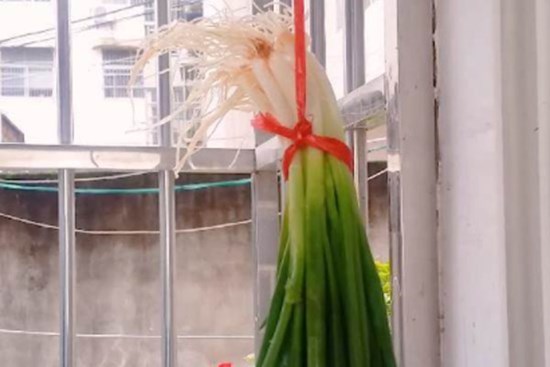 Hành lá treo cửa sổ: Mẹo nhỏ uy lực nhưng nhiều người không biết