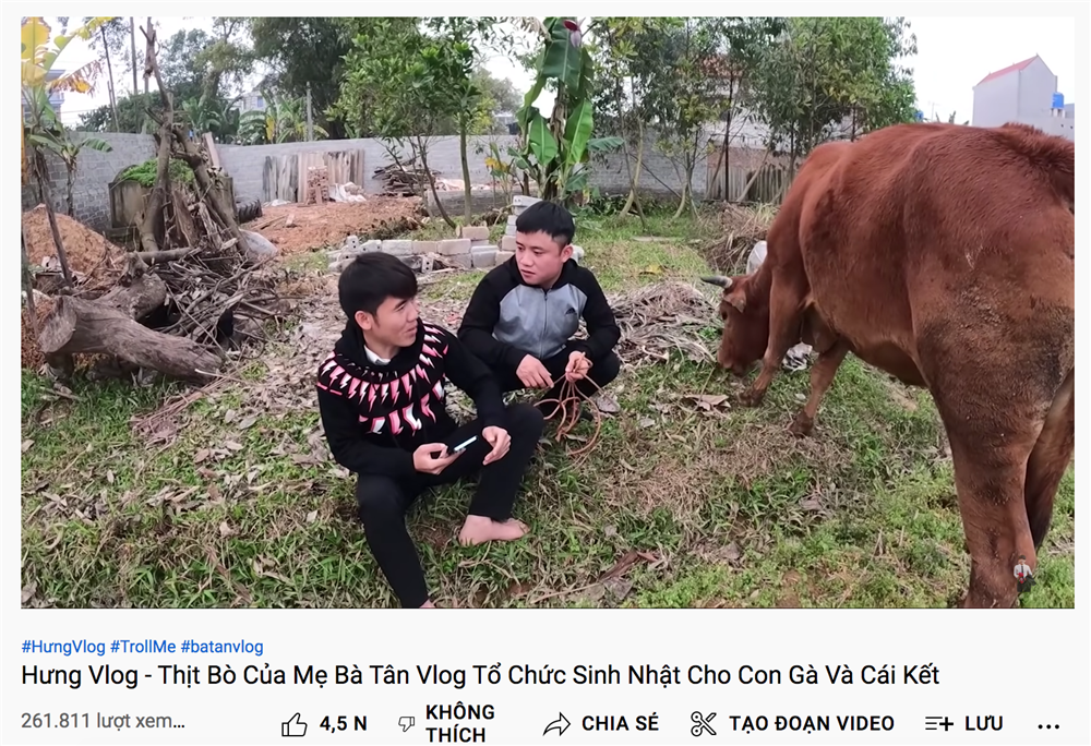 Sau khi bị phạt 7,5 triệu Hưng Vlog lại đi... tổ chức sinh nhật cho gà, sự xuất hiện của Bà Tân Vlog cũng không cứu được kênh-2
