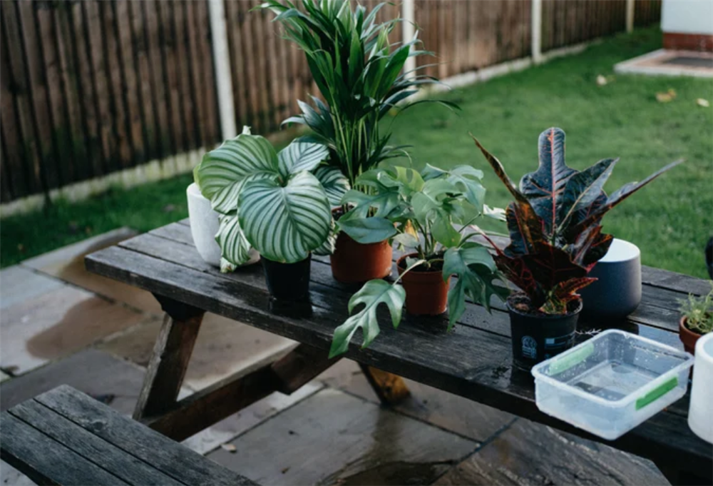 10 món quà ngày 8/3 có thể làm mẹ chúng ta mỉm cười, là con ngoan thì đừng tiếc!-15