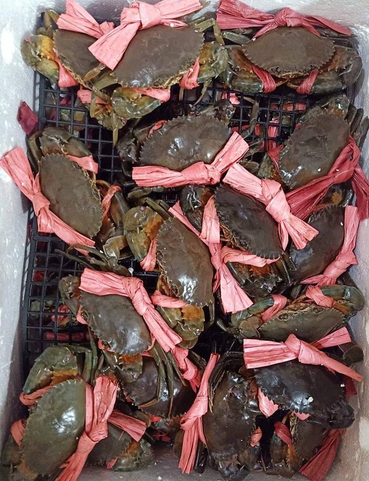 Hải sản đảo chiều đại hạ giá”, tôm hùm xanh chỉ từ 500 nghìn đồng/kg-3