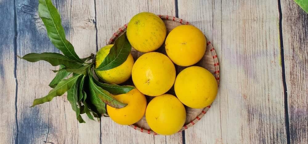 Vú sữa hoàng kim gần 200k/kg khiến chị em tò mò đặt mua tới tấp-4
