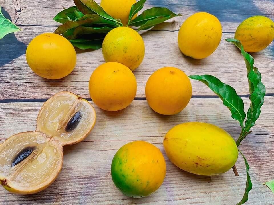 Vú sữa hoàng kim gần 200k/kg khiến chị em tò mò đặt mua tới tấp-6