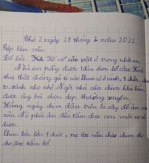 Bài văn Tiểu học tả CON CHIM có tận 4 chân, chuồng thì bẩn, đọc đến câu cuối mà phụ huynh muốn độn thổ vì xấu hổ-1