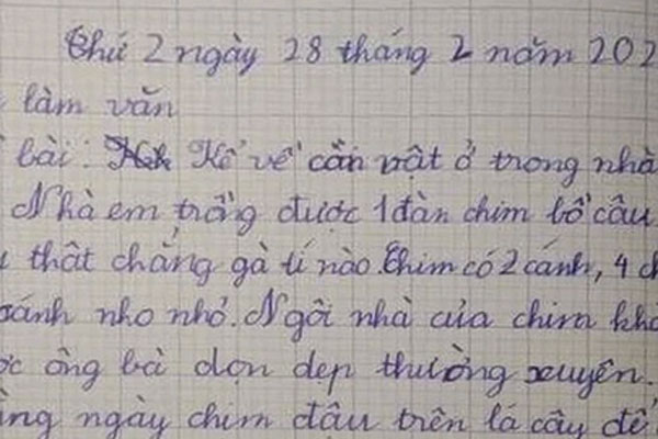 Học sinh viết câu văn miêu tả CON LỢN, đọc đến hai từ cuối mà cô giáo cười nhức cả đầu: Trời, con lợn này chắc ĐỘT BIẾN-2