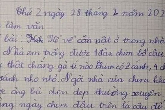 Bài văn Tiểu học tả CON CHIM có tận 4 chân, chuồng thì bẩn, đọc đến câu cuối mà phụ huynh muốn 