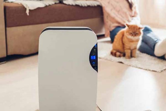 Sự thật về lời quảng cáo 