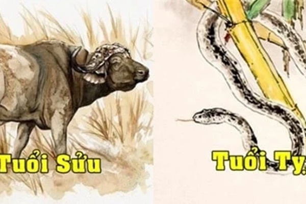 Tử vi tuần mới từ ngày 7-13/3/2022 của 12 con giáp: Sửu hung cát đan xen, Tỵ được quý nhân chiếu cố-1