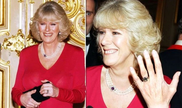 Khoảnh khắc cho thấy sự khác biệt đầy chua chát giữa Công nương Diana và tình địch Camilla trong ngày đính hôn với Thái tử Charles-3