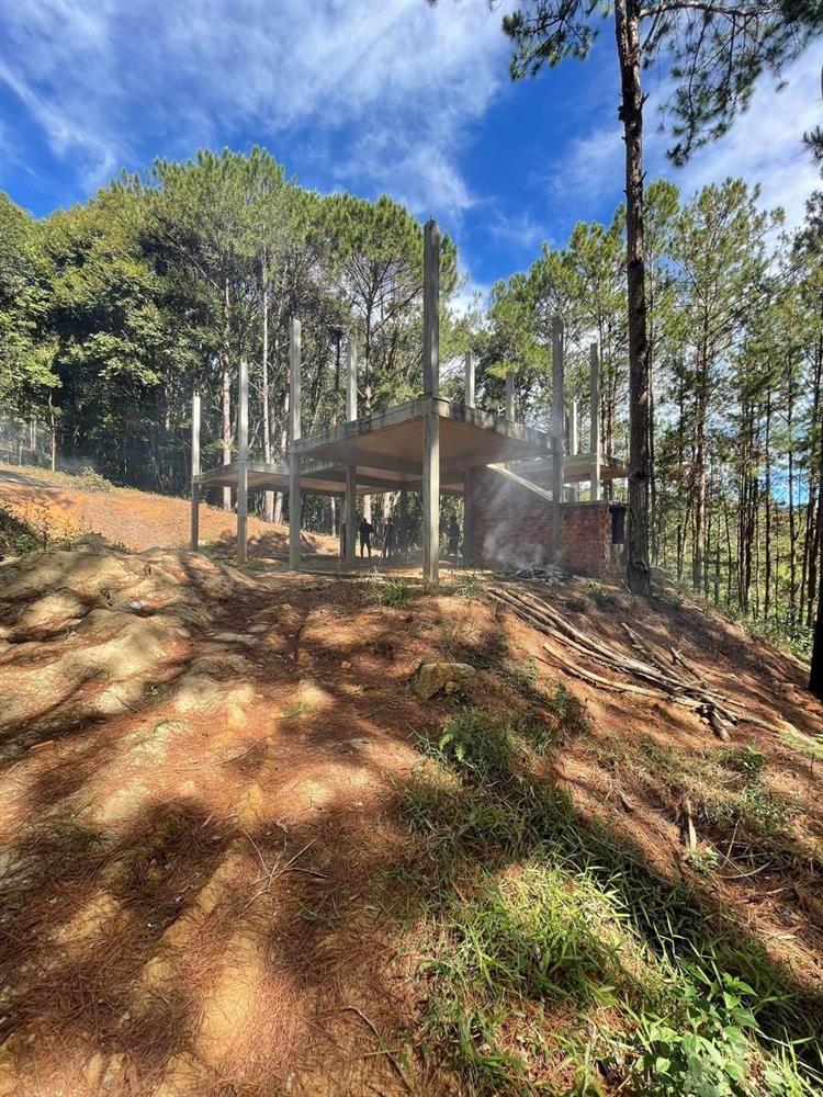 Đoàn Di Băng khởi công xây biệt thự giữa rừng thông Đà Lạt, dân mạng tròn mắt: Quá giàu-1