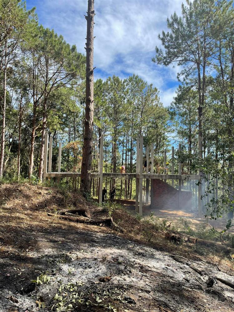 Đoàn Di Băng khởi công xây biệt thự giữa rừng thông Đà Lạt, dân mạng tròn mắt: Quá giàu-4