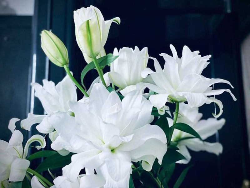 Đắt khét chợ hoa ngày 8/3, ly kép giá tiền triệu vẫn ‘cháy hàng’-1