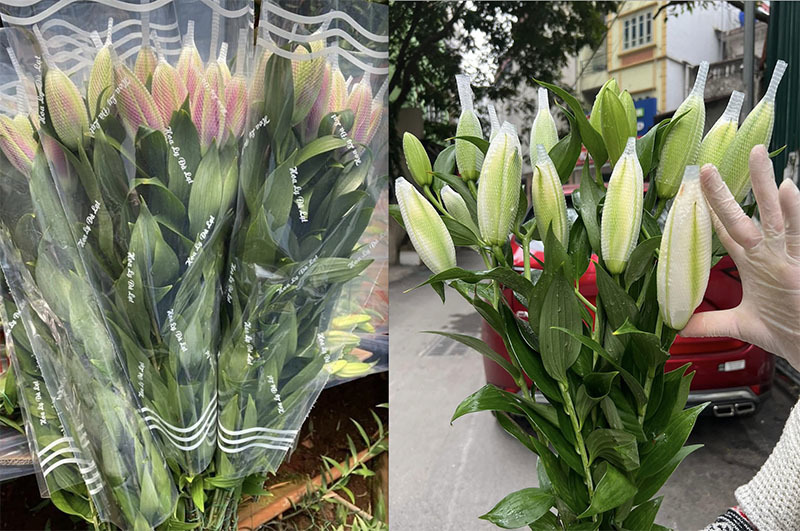 Đắt khét chợ hoa ngày 8/3, ly kép giá tiền triệu vẫn ‘cháy hàng’-3