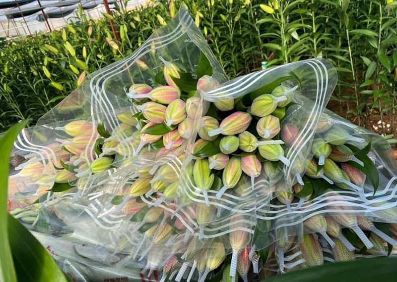 Đắt khét chợ hoa ngày 8/3, ly kép giá tiền triệu vẫn ‘cháy hàng’-4