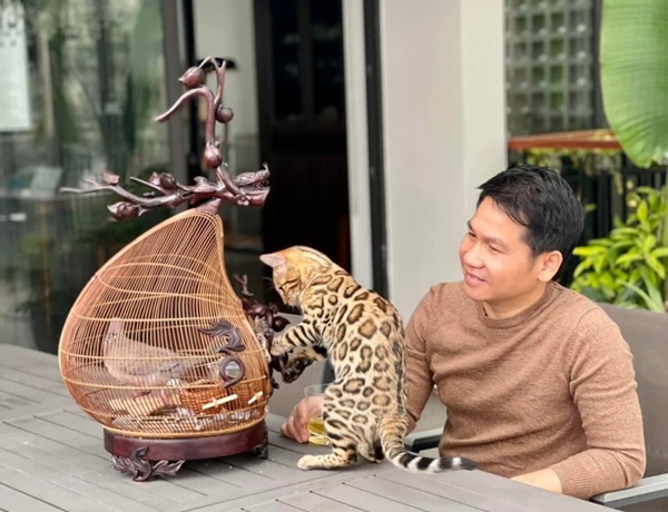 Sửng sốt với không gian quê trong phố tại cơ ngơi bạc tỷ của ca sĩ Trọng Tấn-1