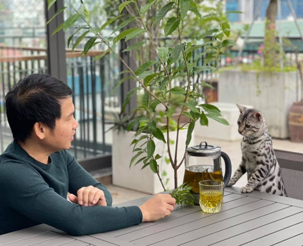 Sửng sốt với không gian quê trong phố tại cơ ngơi bạc tỷ của ca sĩ Trọng Tấn-4