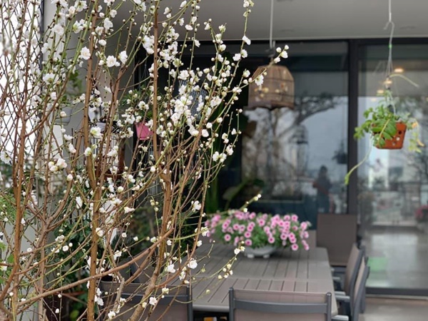 Sửng sốt với không gian quê trong phố tại cơ ngơi bạc tỷ của ca sĩ Trọng Tấn-13