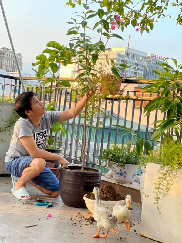 Sửng sốt với không gian quê trong phố tại cơ ngơi bạc tỷ của ca sĩ Trọng Tấn-17