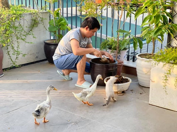 Sửng sốt với không gian quê trong phố tại cơ ngơi bạc tỷ của ca sĩ Trọng Tấn-18