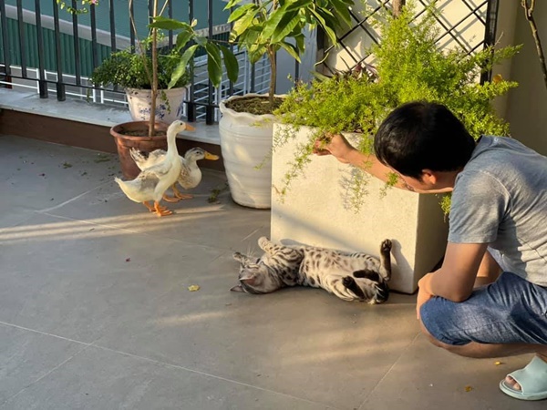 Sửng sốt với không gian quê trong phố tại cơ ngơi bạc tỷ của ca sĩ Trọng Tấn-19