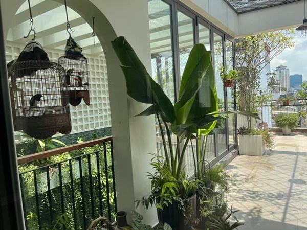 Sửng sốt với không gian quê trong phố tại cơ ngơi bạc tỷ của ca sĩ Trọng Tấn-21