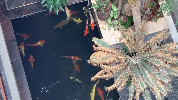 Sửng sốt với không gian quê trong phố tại cơ ngơi bạc tỷ của ca sĩ Trọng Tấn-24