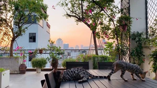 Sửng sốt với không gian quê trong phố tại cơ ngơi bạc tỷ của ca sĩ Trọng Tấn-25