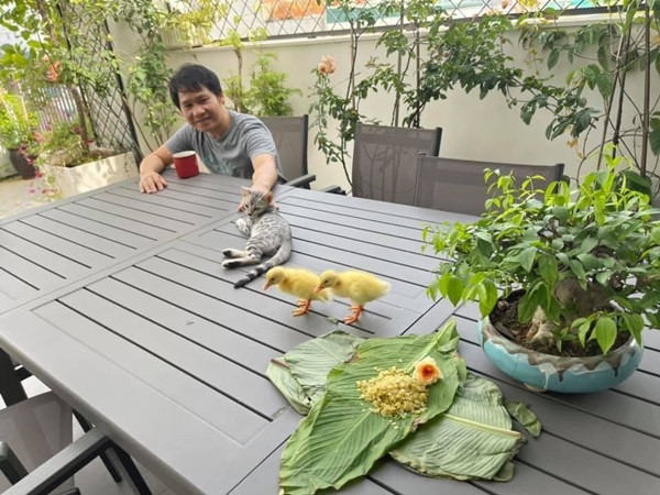 Sửng sốt với không gian quê trong phố tại cơ ngơi bạc tỷ của ca sĩ Trọng Tấn-30